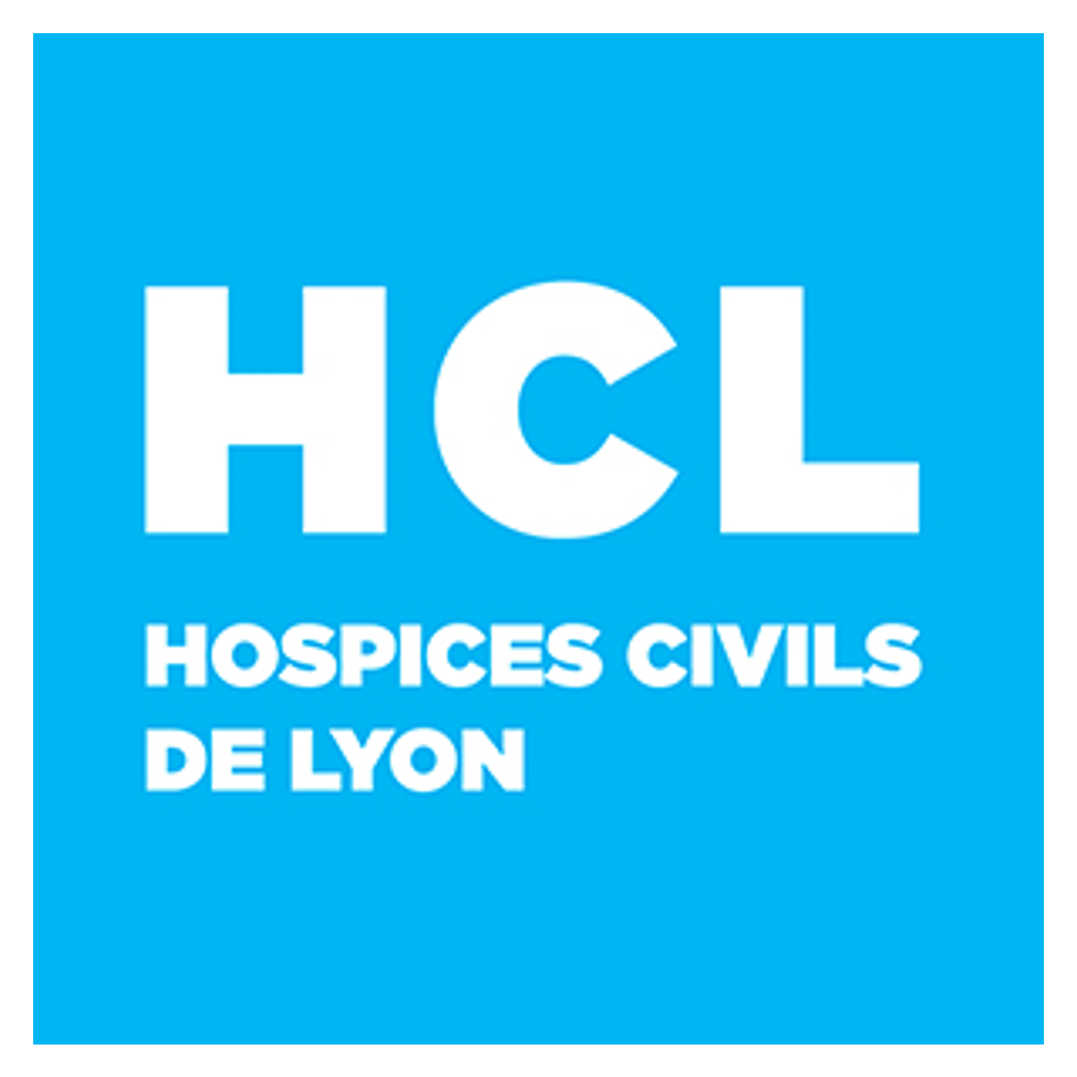 LOGO CLIENTS - HCL